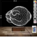 Göz Doktoru Hediye 3D Lamba - Masa Gece Lambası