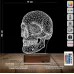 Kuru Kafa İskelet 3D Lamba - Masa Gece Lambası