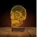 Kuru Kafa İskelet 3D Lamba - Masa Gece Lambası