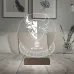 Crypto Aptos Apt Coin Kripto Finans 3D Lamba - Masa Gece Lambası