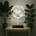 Veteriner Hekim Kişiye Özel Saatli 3D Lamba - Masa Gece Lambası