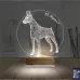 Köpek Doberman Kişiye Özel 3D Lamba - Masa Gece Lambası