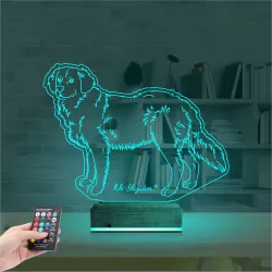 Köpek Golden Kişiye Özel 3D Lamba - Masa Gece Lambası