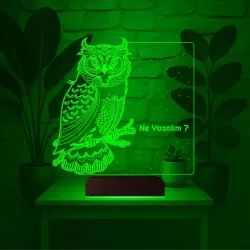 Baykuş Kuş Tasarım Kişiye Özel 3D Lamba - Masa Gece Lambası