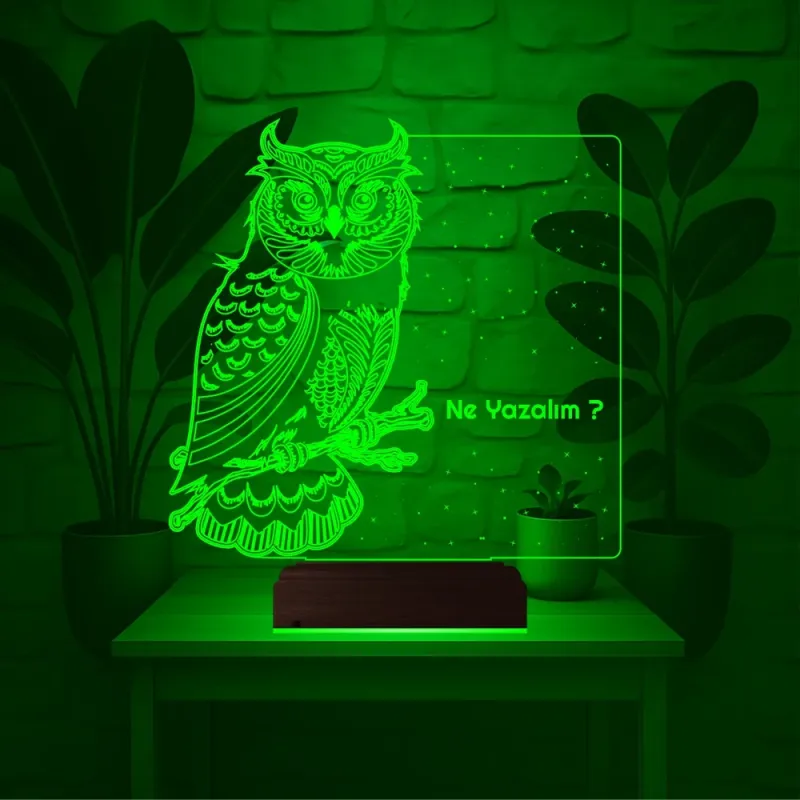 Baykuş Kuş Tasarım Kişiye Özel 3D Lamba - Masa Gece Lambası